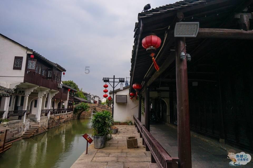 逃离椰子岛